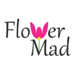 Store Icon