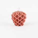 WhatsApp Image 2024-11-27 at 21.20.30_a2a132a0